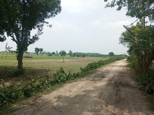 IMG_20230519_123312_397.jpg