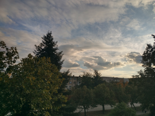 IMG_20261018_173205_HDR.jpg