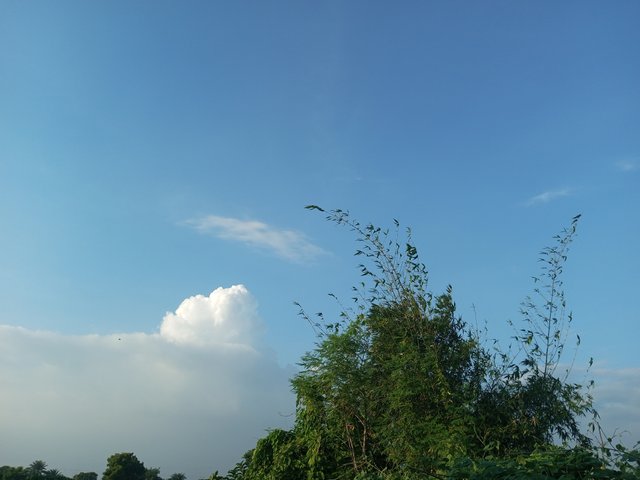 IMG_20230913_172029_732.jpg