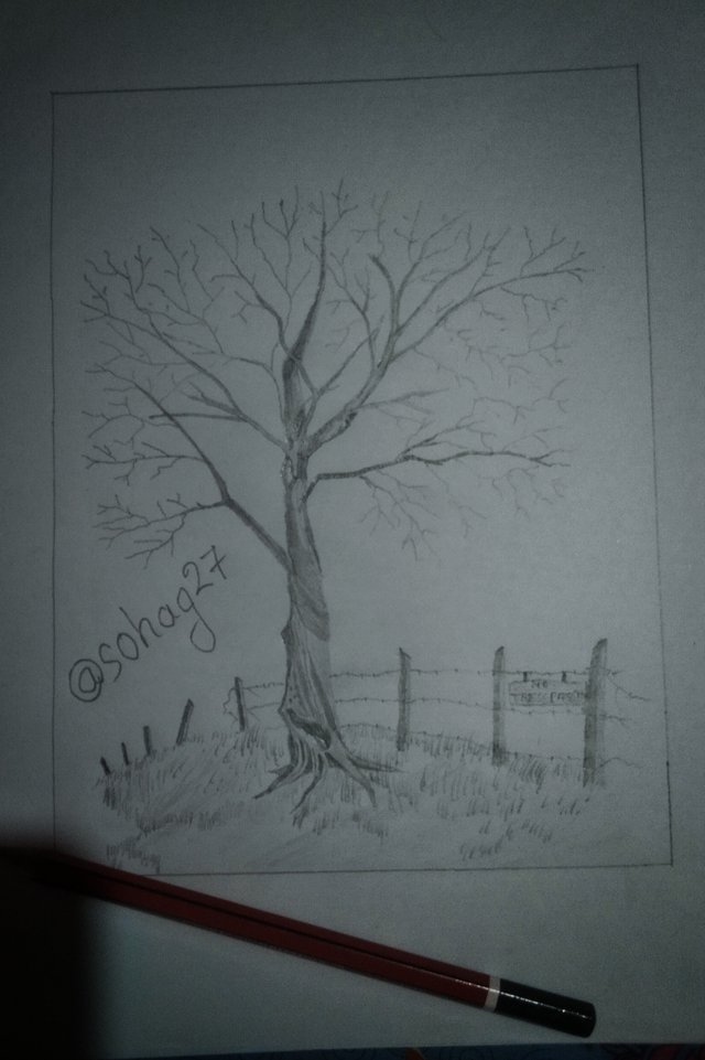IMG_20210516_171651-01.jpeg