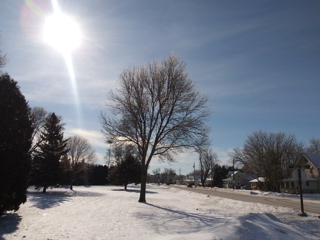 20190209_105646_Burst01.jpg