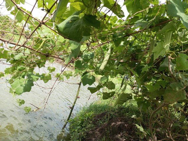 IMG_20230802_090925_398.jpg