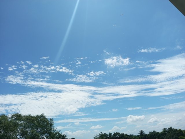 IMG_20220919_105007_413.jpg