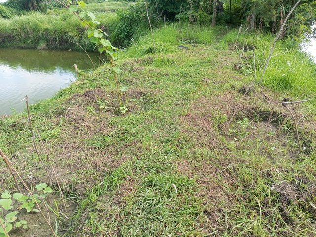 IMG_20230705_083029_139.jpg