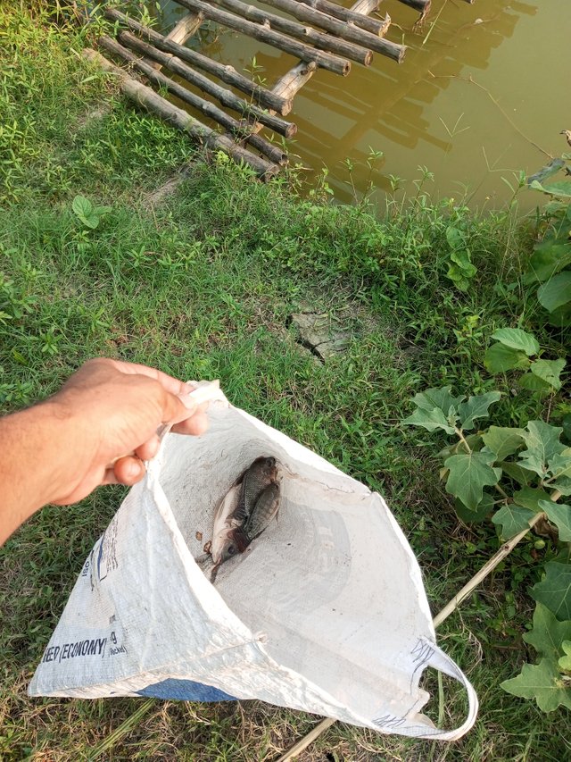 IMG_20231016_161256_750.jpg