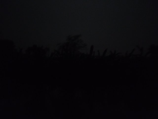 IMG_20231030_033600_920.jpg