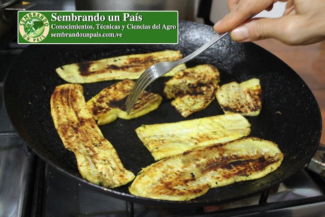 1 Berenjenas Asadas.jpg