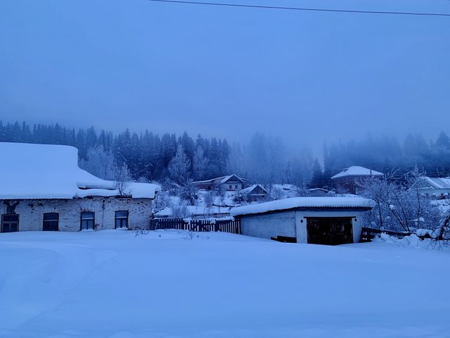 20220204_042839903_iOS_.jpg