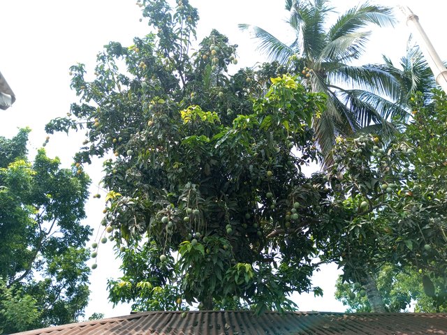 IMG_20230603_132754_243.jpg