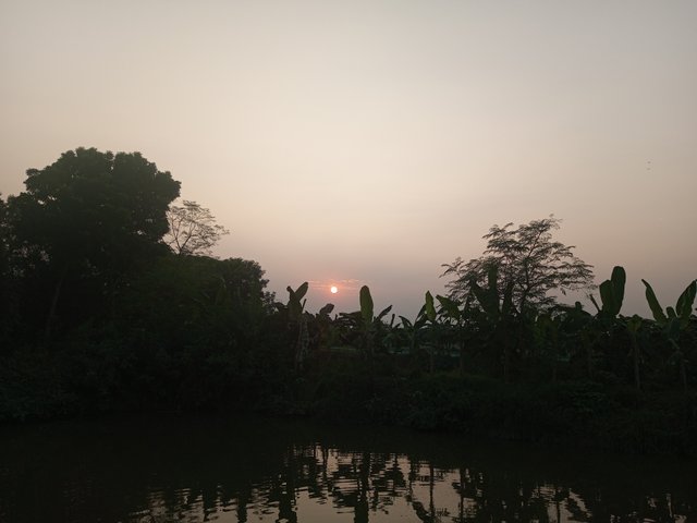 IMG_20231102_165945_528.jpg