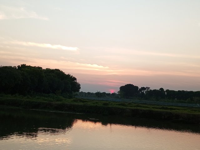 IMG_20231120_171152_184.jpg
