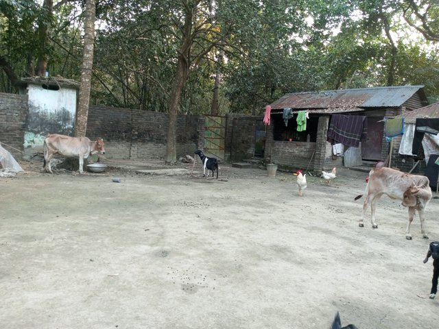 IMG_20240223_165632_978.jpg