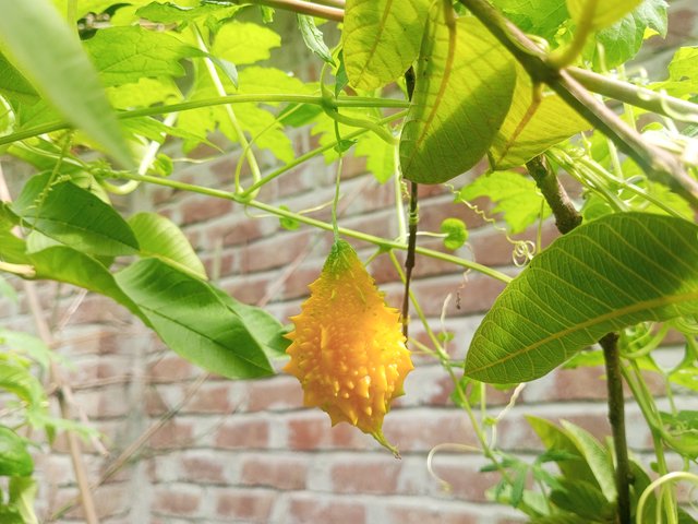IMG_20230803_082928_287.jpg