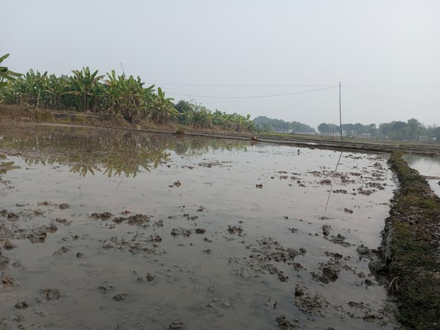 IMG_20240124_122406_122.jpg