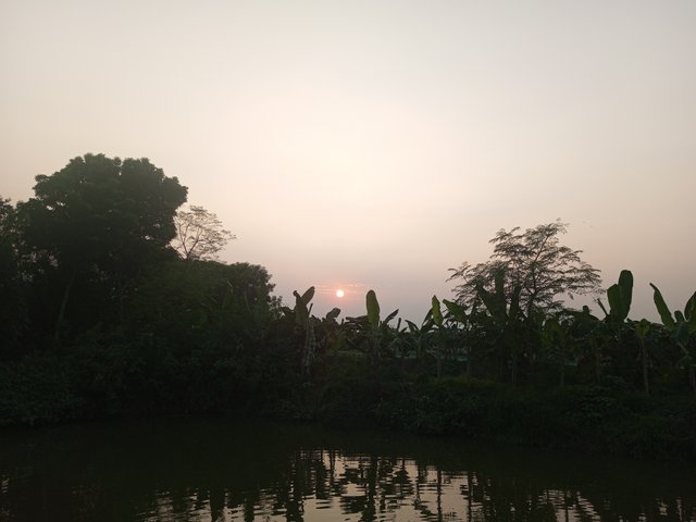 IMG_20231102_165938_842.jpg