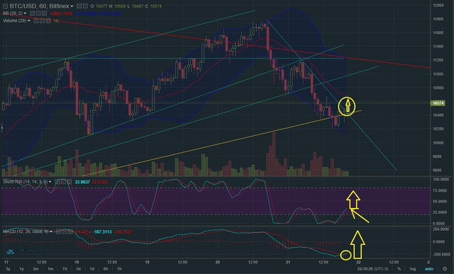 Feb 21 BTC T&A2.jpg