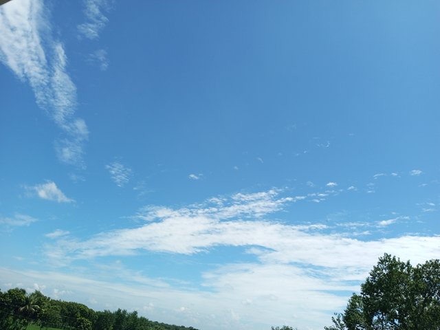 IMG_20220919_105013_500.jpg