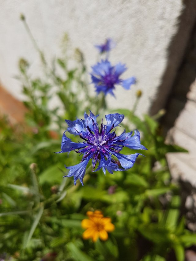 20180616_110447 Kopie.jpg