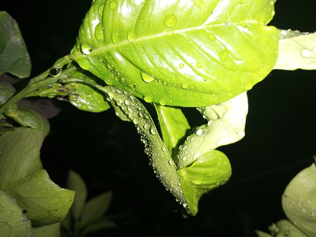 IMG_20230317_192144_316.jpg