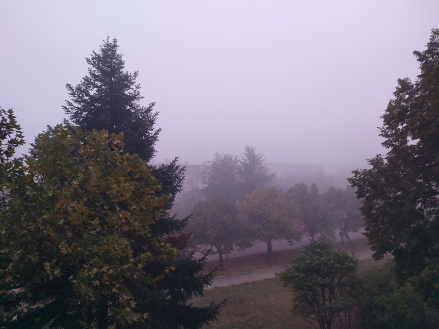 IMG_20261021_072852_HDR.jpg