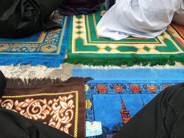 IMG_20240411_084517_989.jpg