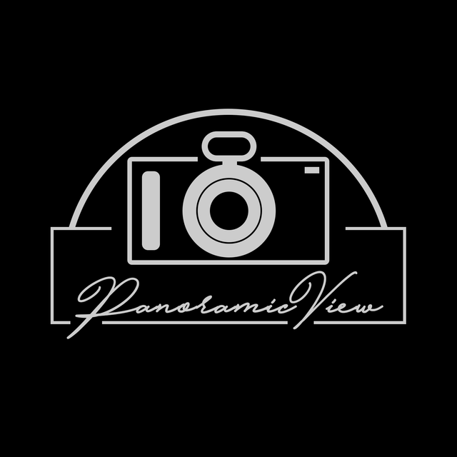 panoramicview-dark-logo.png