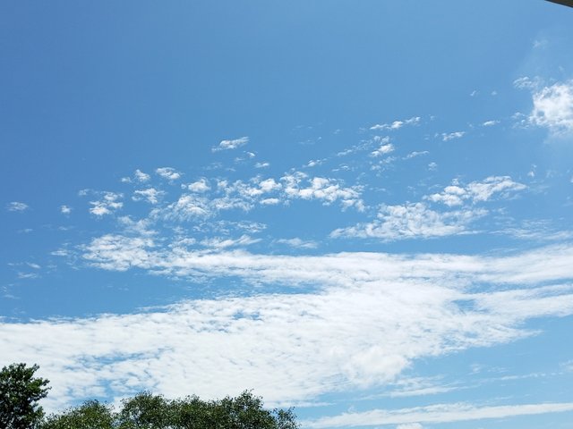 IMG_20220919_105020_703.jpg