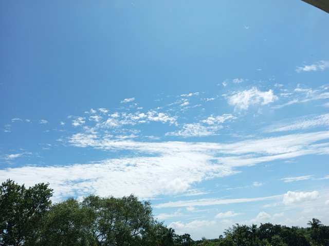 IMG_20220919_104957_887.jpg