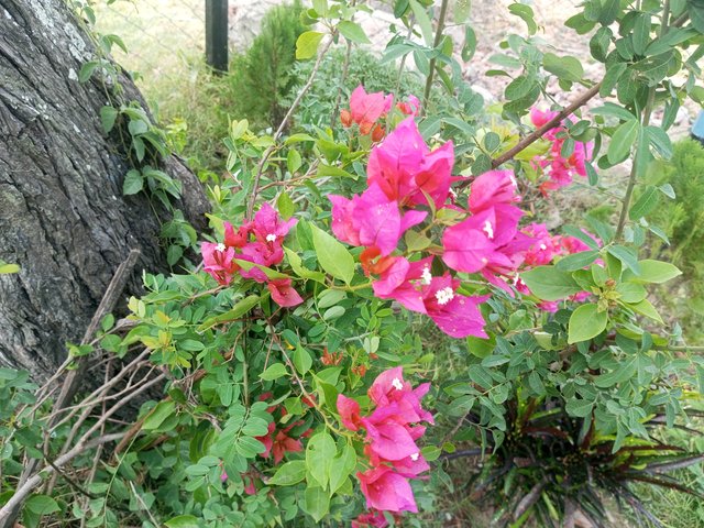 IMG_20230504_133635_646.jpg