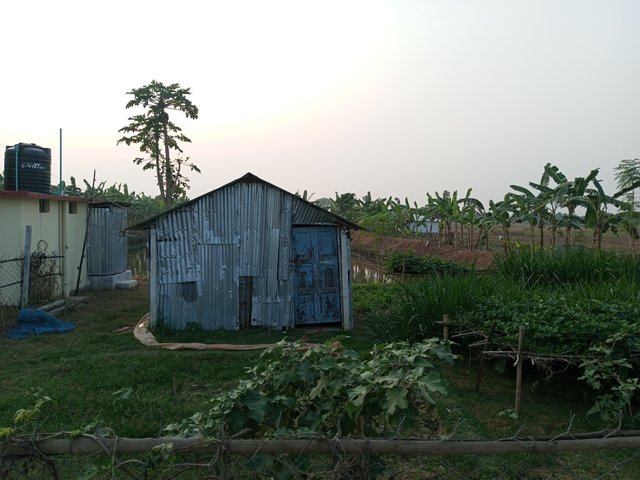 IMG_20231124_162315_165.jpg