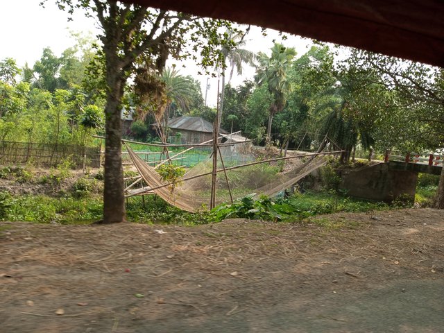 IMG_20240519_080537_228.jpg