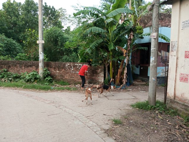 IMG_20240531_174705_280.jpg