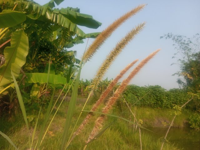 IMG_20231013_081053_804.jpg