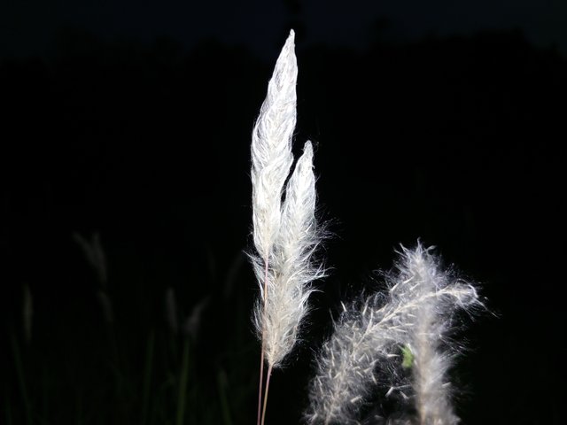 IMG_20240515_190535_636.jpg