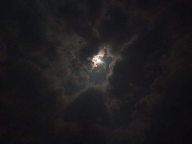 IMG_20231226_232826_390.jpg