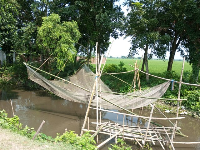 IMG_20231008_130920_638.jpg