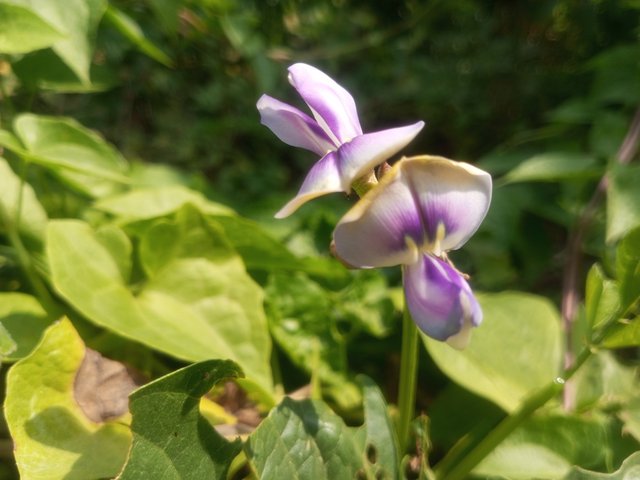 IMG_20240501_091109_166.jpg