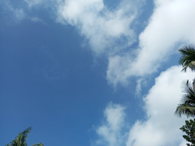 IMG_20220922_085542_077.jpg