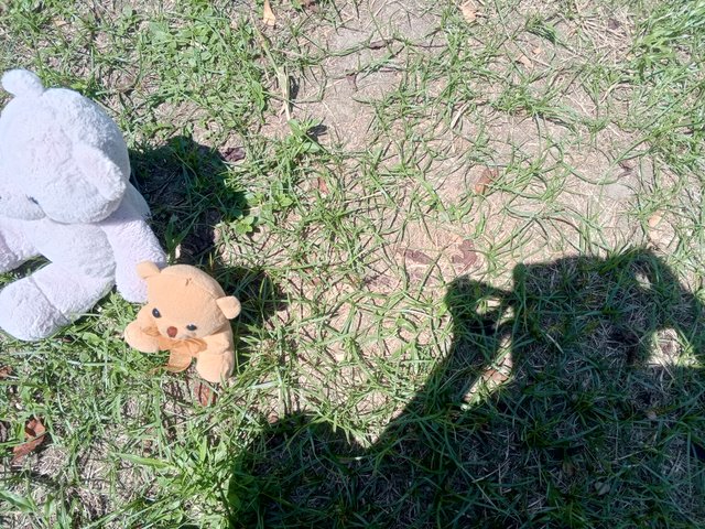 IMG_20250909_105856_805.jpg