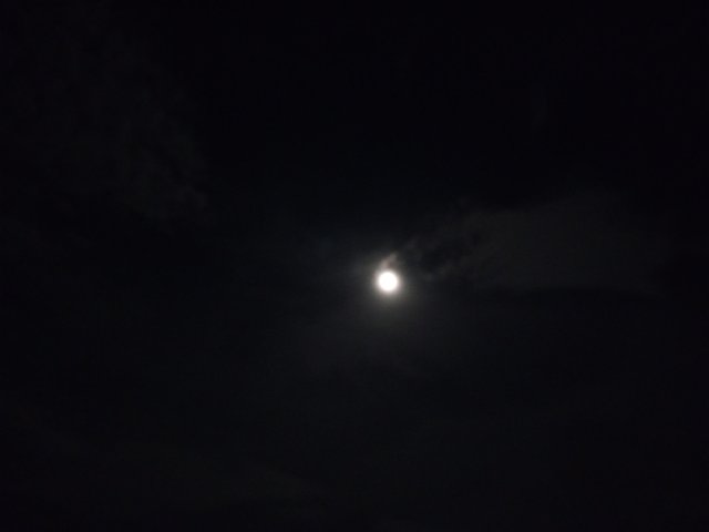 IMG_20230729_195744_295.jpg