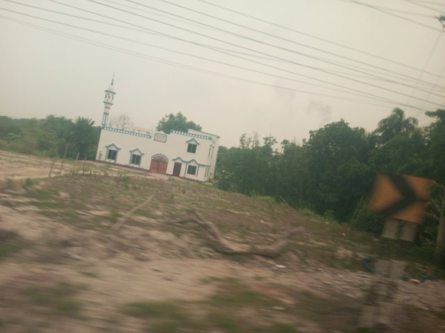 IMG_20240519_110733_328.jpg