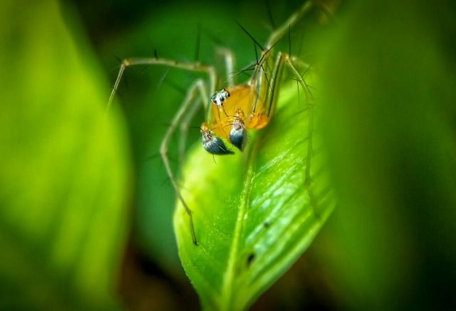 IMG-20180528-WA0009-1-1.jpg