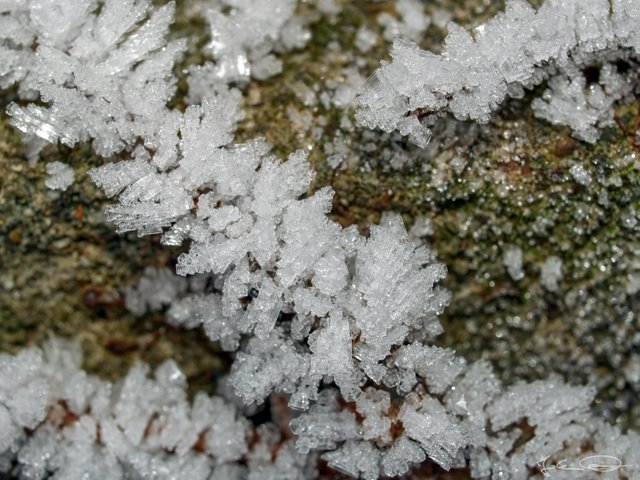 2018-12-05-Hoarfrost-01.jpg