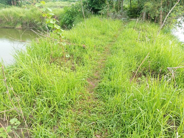 IMG_20230705_070900_519.jpg