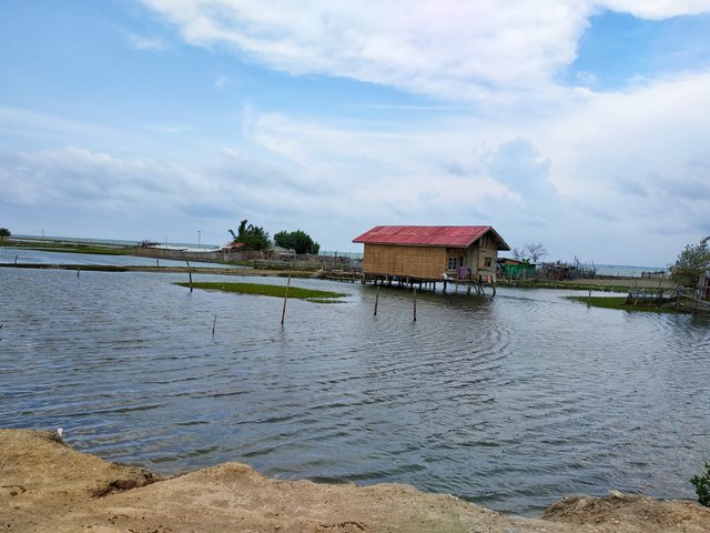 IMG_20200315_143505-01.jpeg