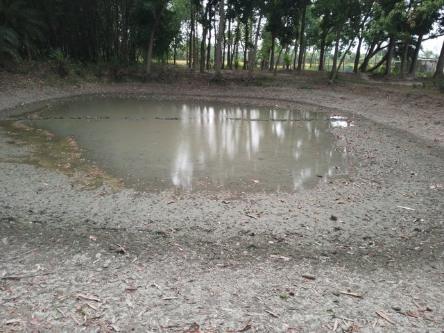 IMG_20240506_183654_173.jpg