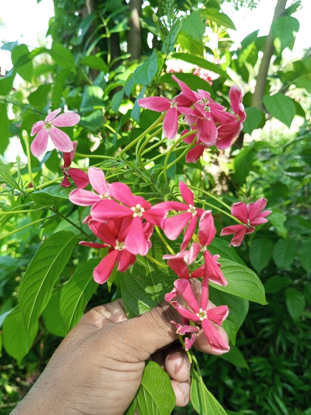 IMG_20230623_145458_483.jpg