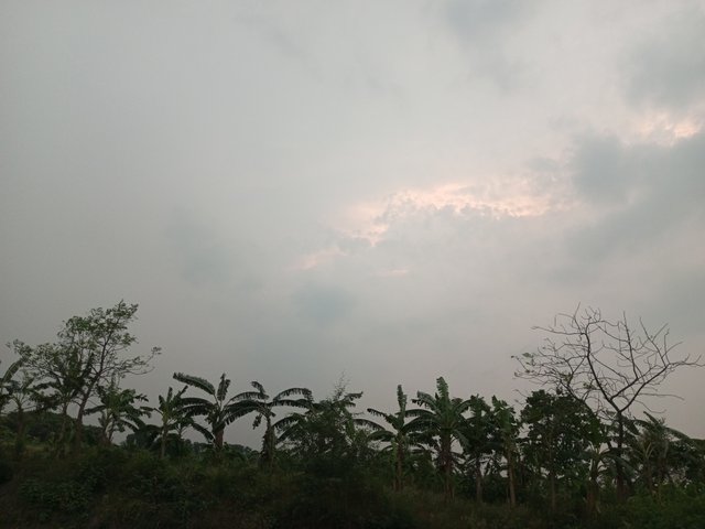 IMG_20240506_182830_771.jpg