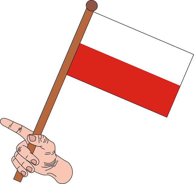 polish-flag-2868608_640.png 
