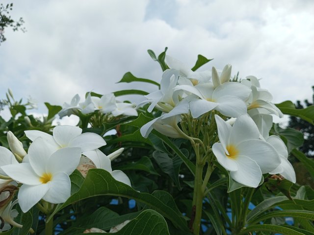 IMG_20220823_132740_675.jpg